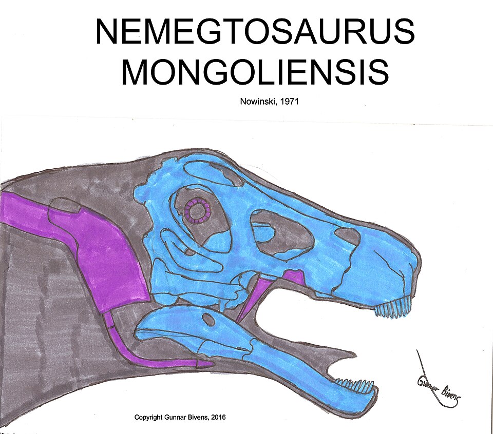 Purple Skull - 13x8x8cm