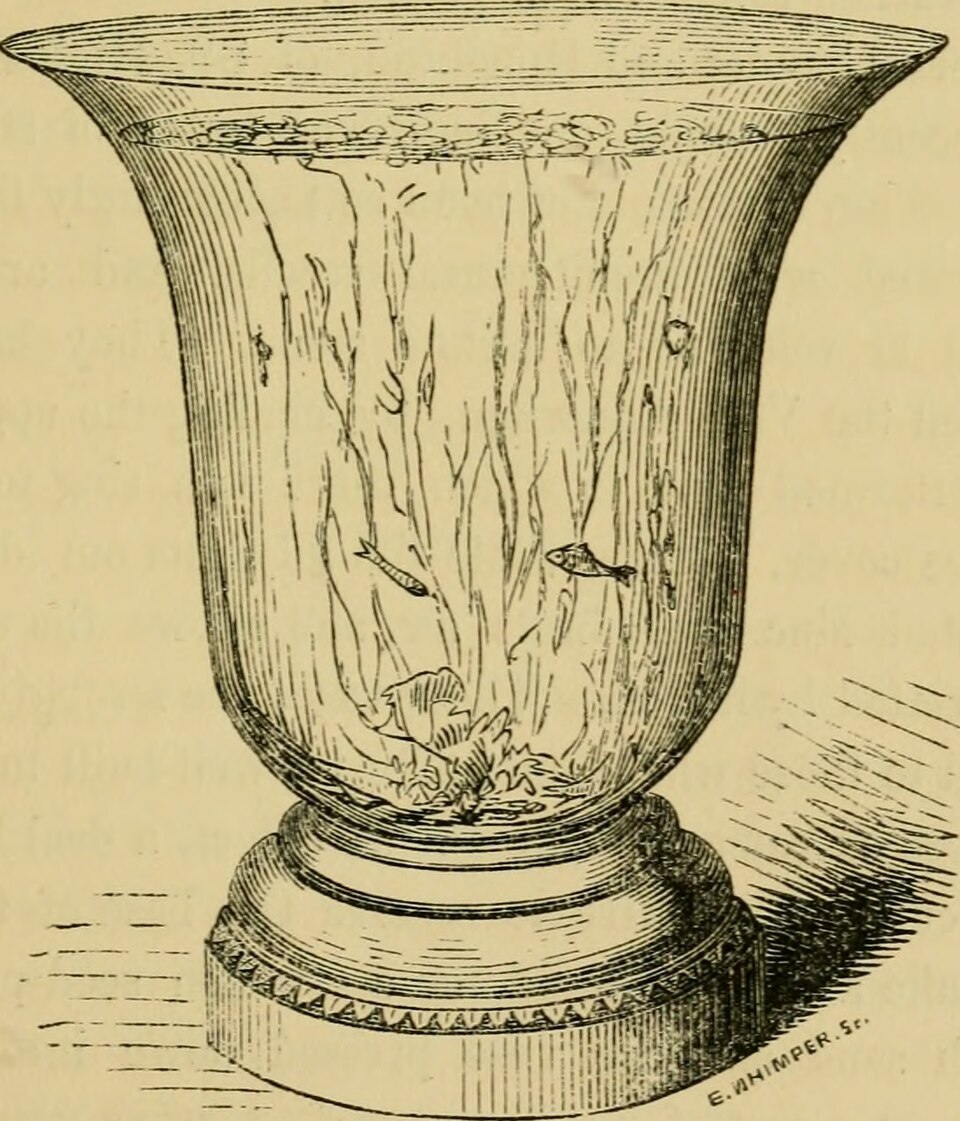 Assorted Aquarium Ornaments