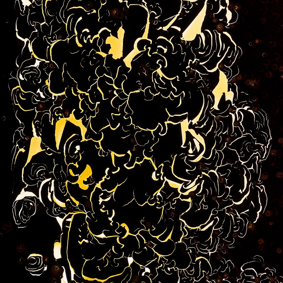 Pro Balance - Colour Flakes