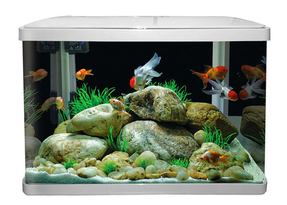 Coburg Aquarium Glass Tank
