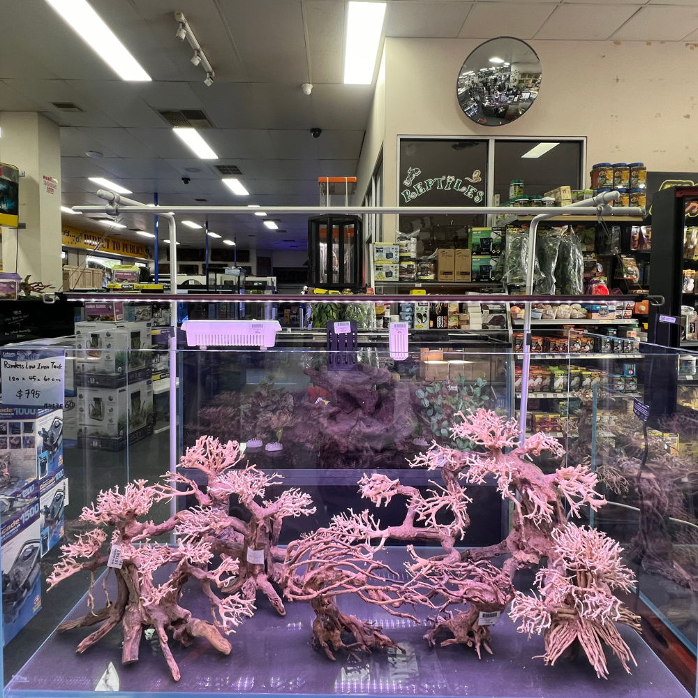 Yi Ding Light Screen