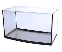 Yi Ding - Rain Paludarium Kit