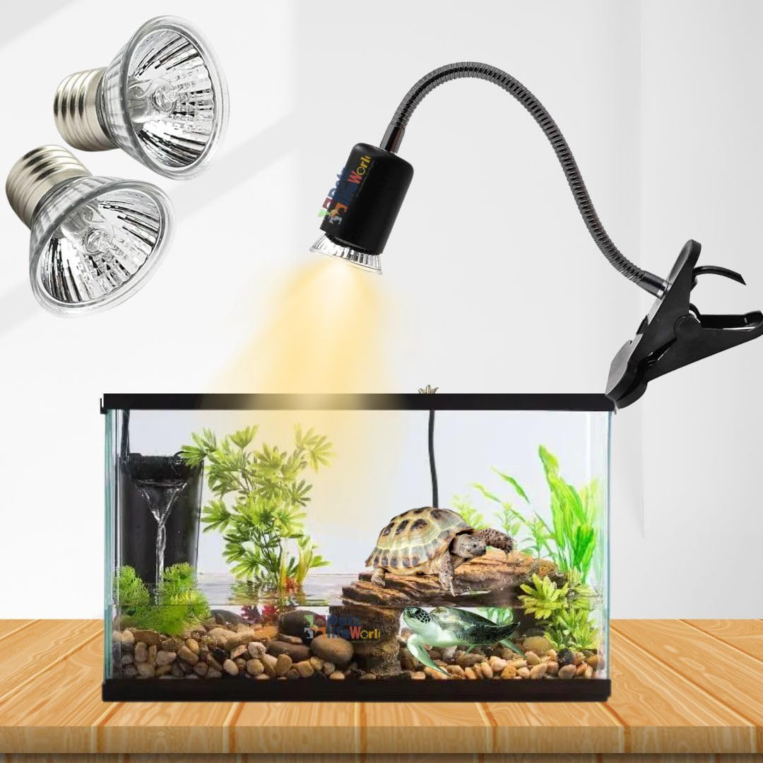 Reptile Aquarium with lights
