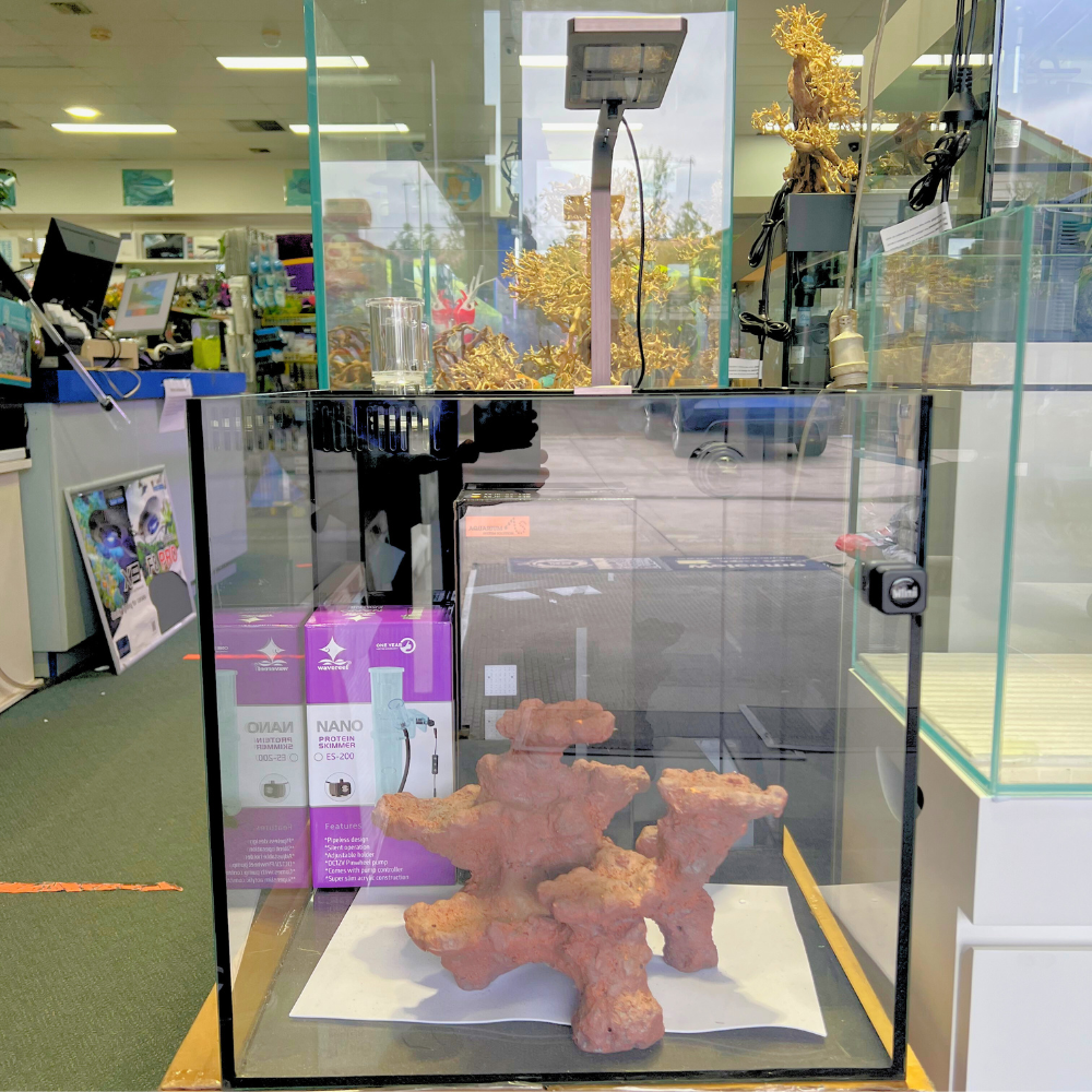 Coburg Aquarium Glass Aquarium