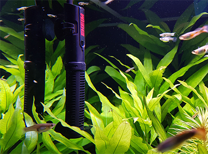 Bioscape Ring Portal 19 x 11cm