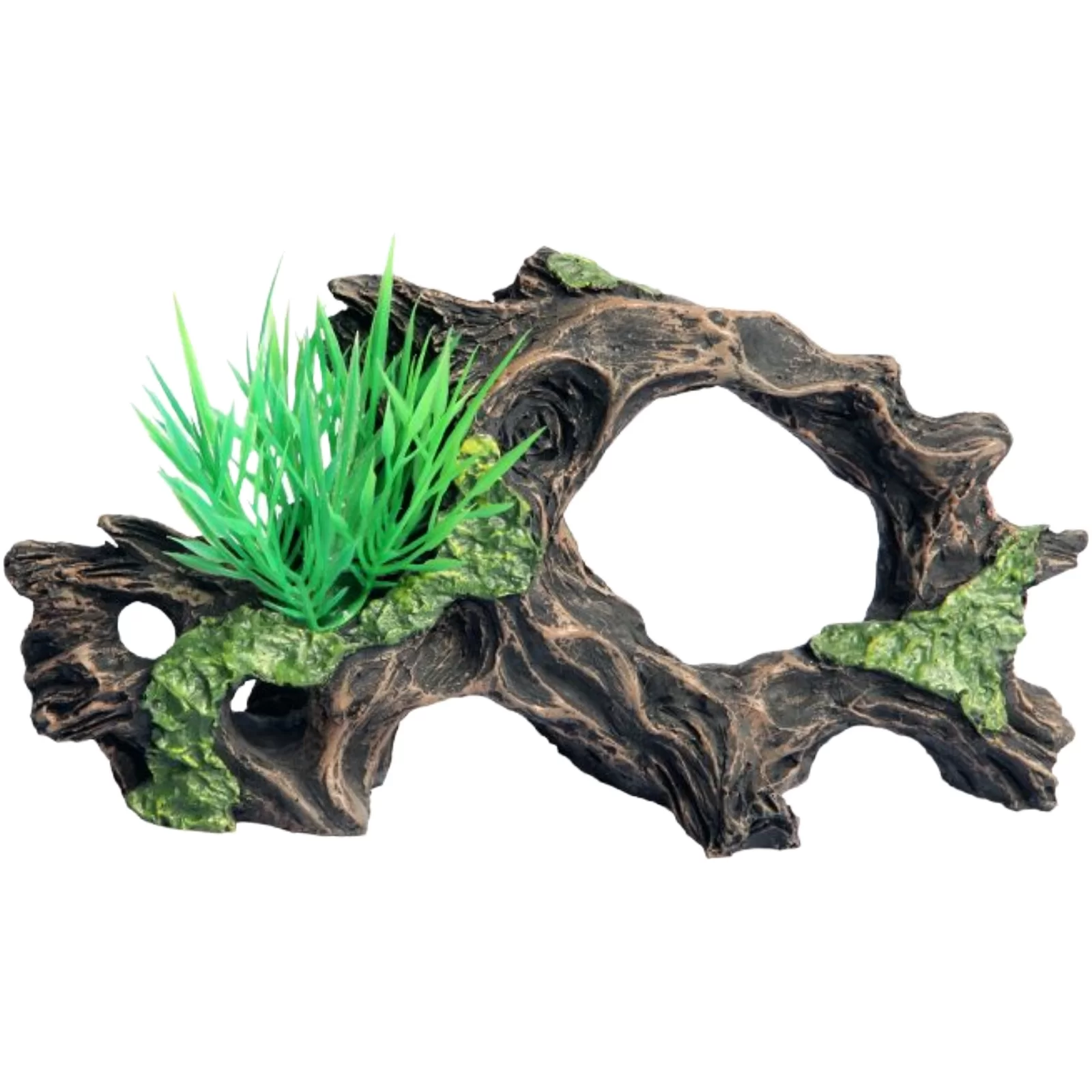 Ornament Driftwood With Plant 17.5x7x9.5cmh