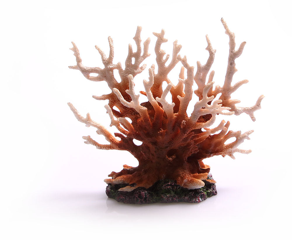 Copi Coral Gorgonian Coral 17x8x15cm