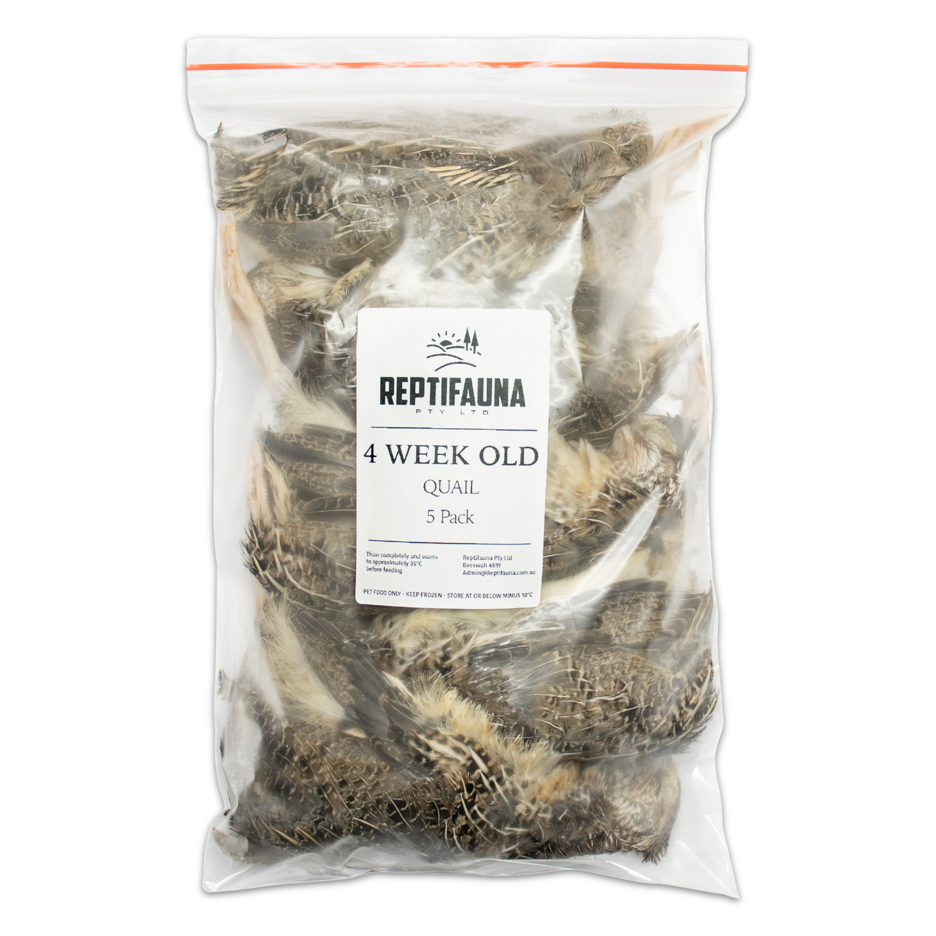 2 Week Old Quail - Frozen single