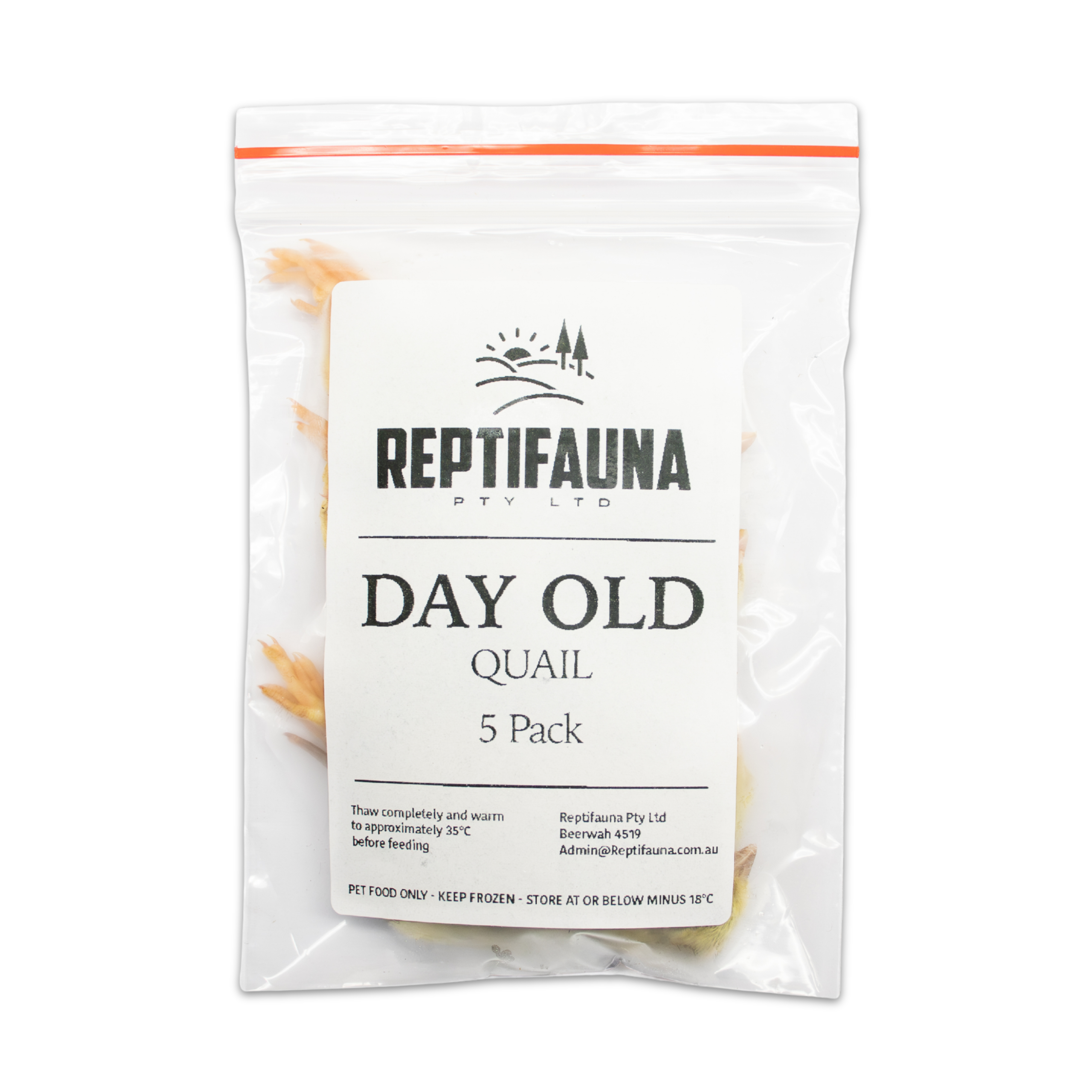 Day Old Quail - Frozen single