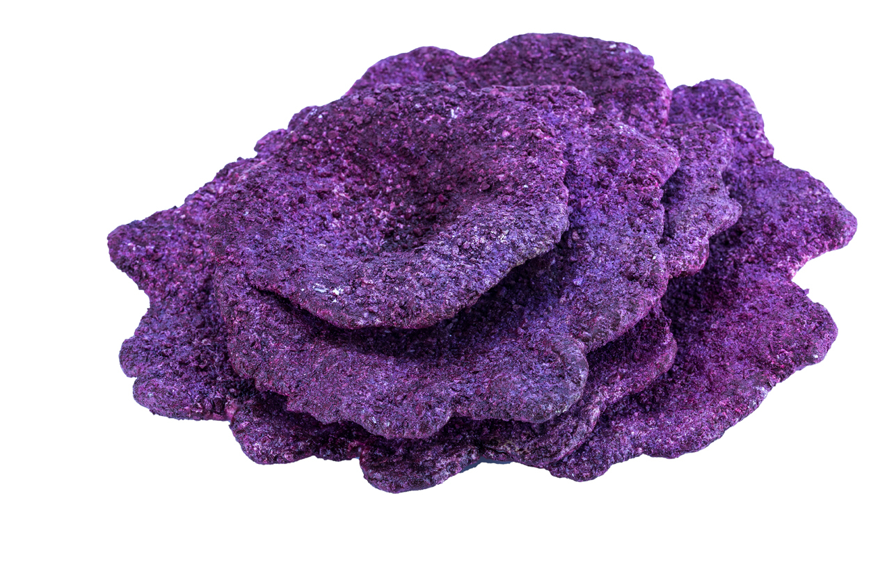 Real Reef Plate Coral