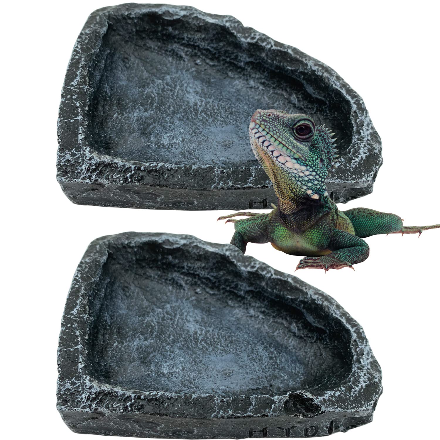 Reptile Water Bowl