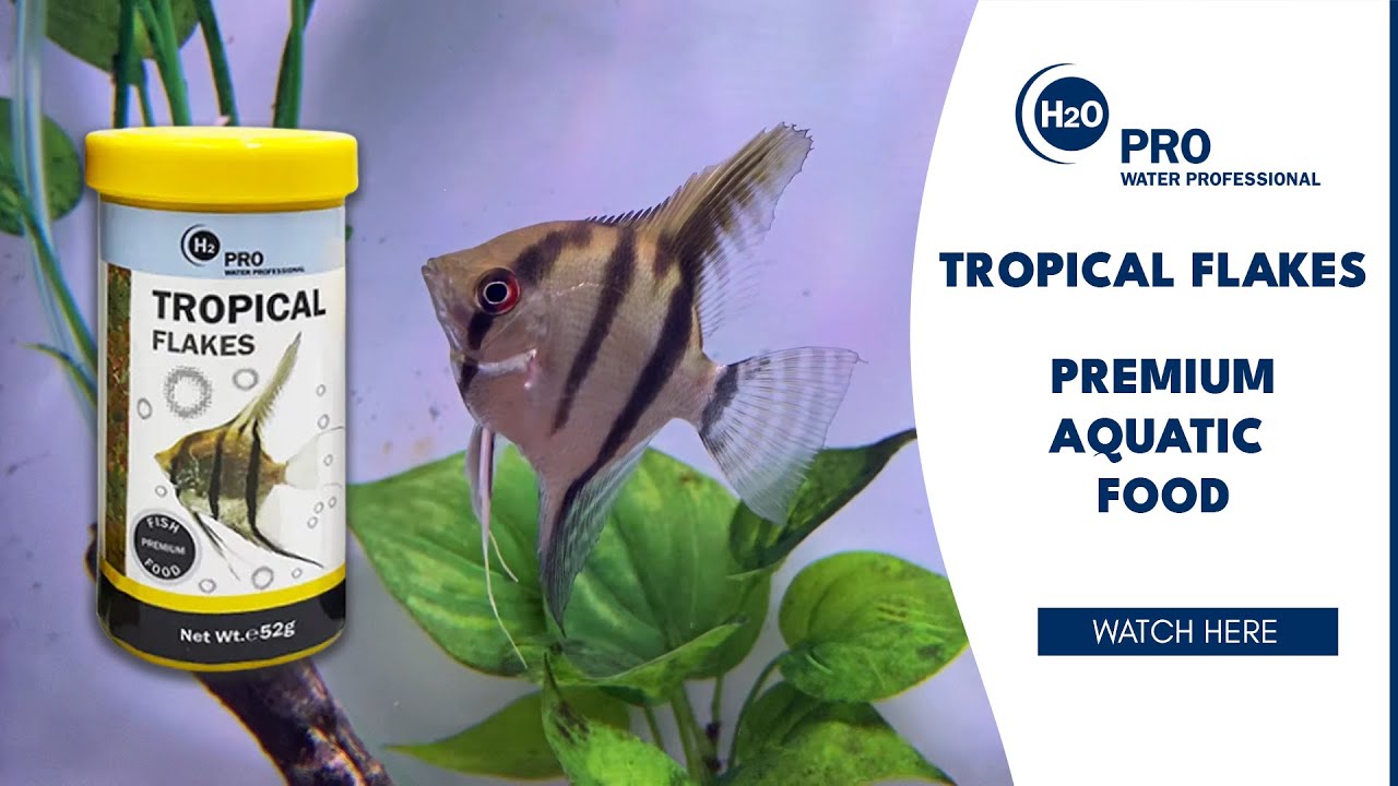 Pro Balance - Cichlid Flake