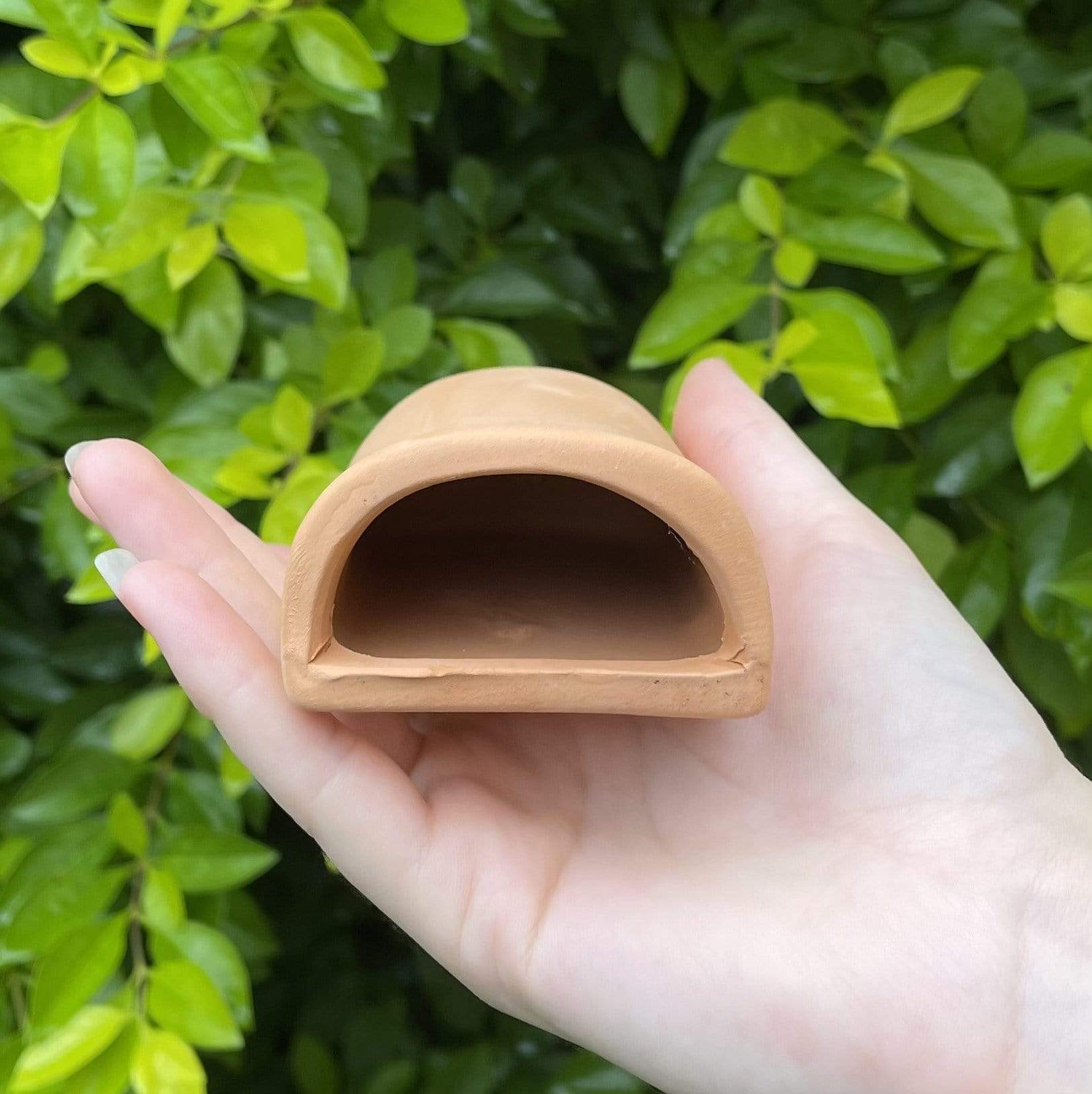 White Terracotta Fish Cave