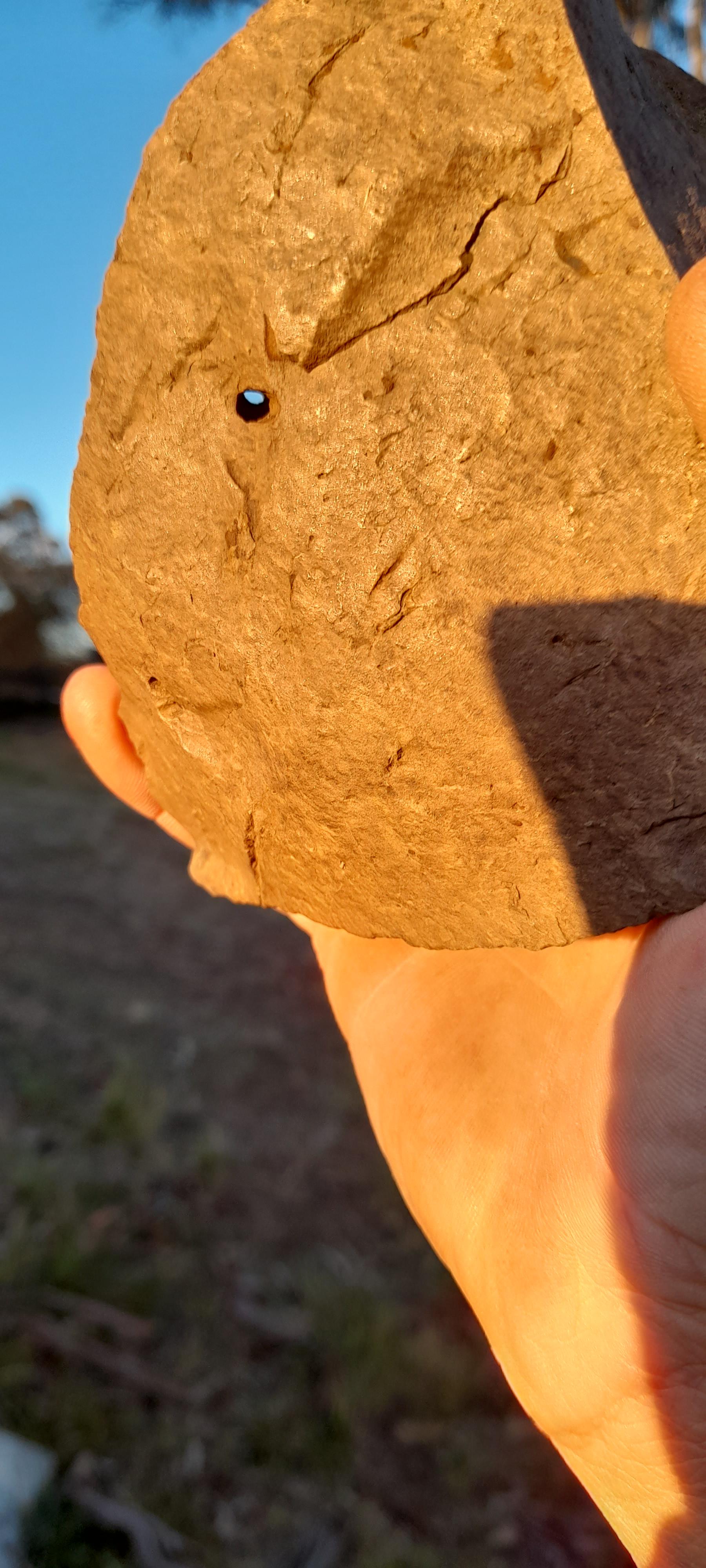 Brown 2 Hole Rock -10.5x14x8cm